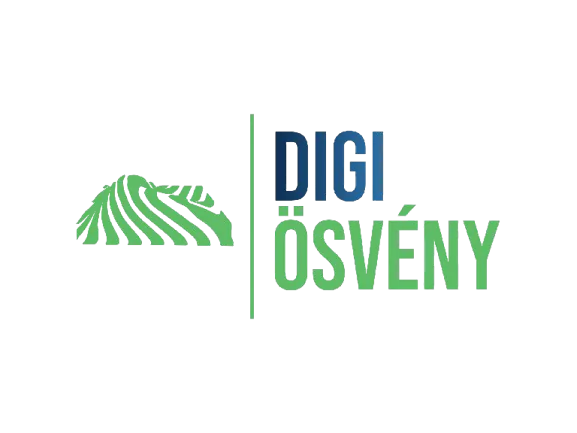 DigiÖsvény Webügynökség - A megbízható technikai partner.